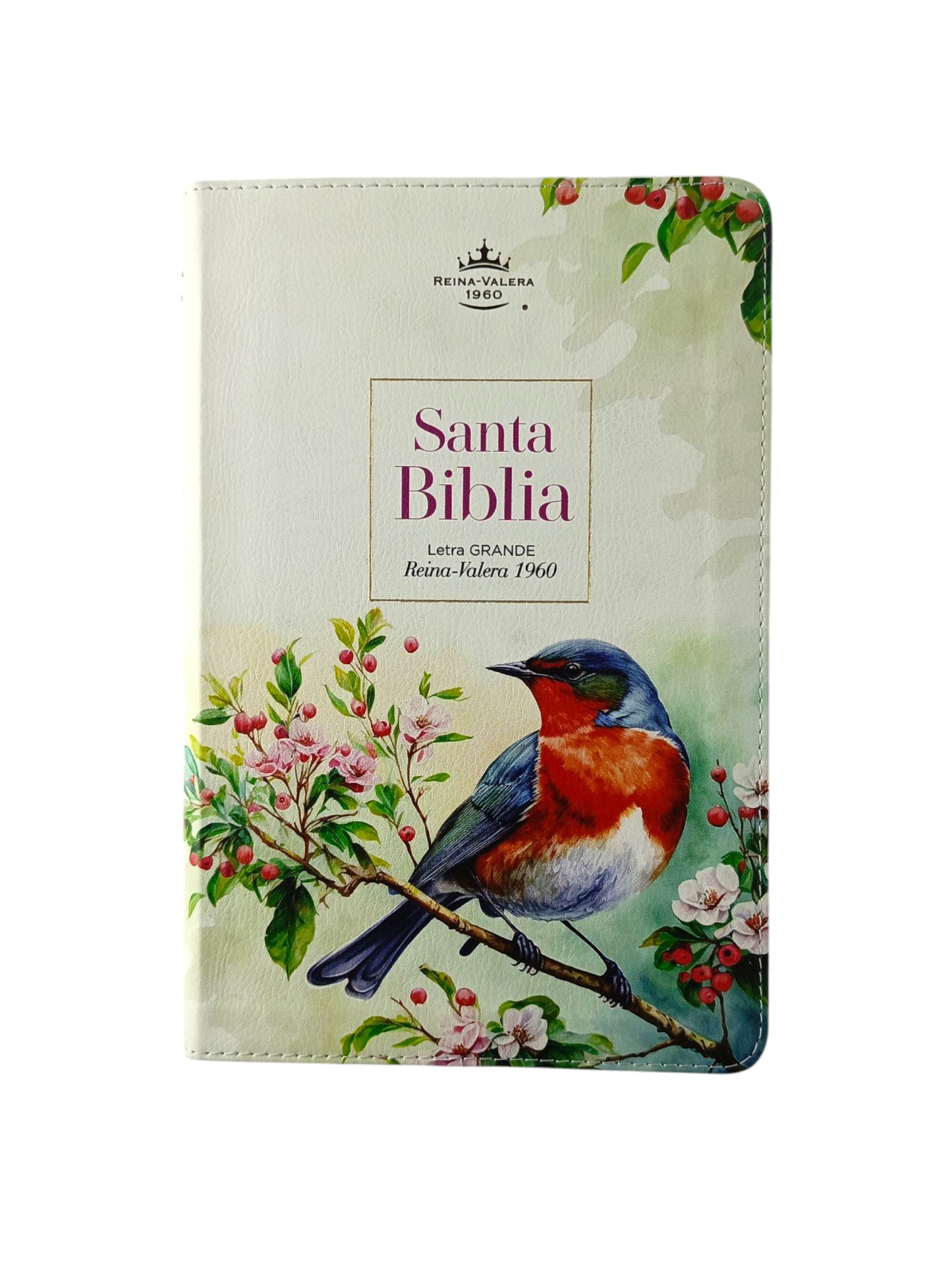 Biblia rvr letra grande vintage borde blanco