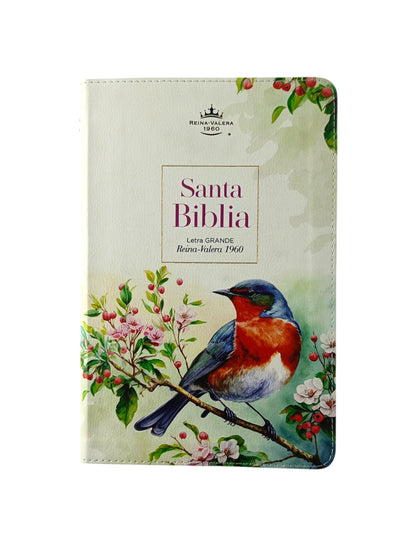 Biblia rvr letra grande vintage borde blanco