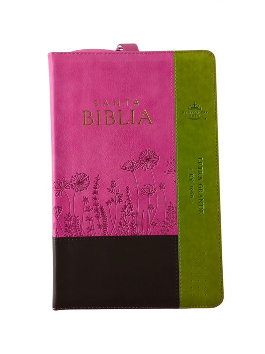 Biblia rvr 1960 tricolor fucsia - verde lima - cafè letra grande con cierre e índice by Reina Valera 1960