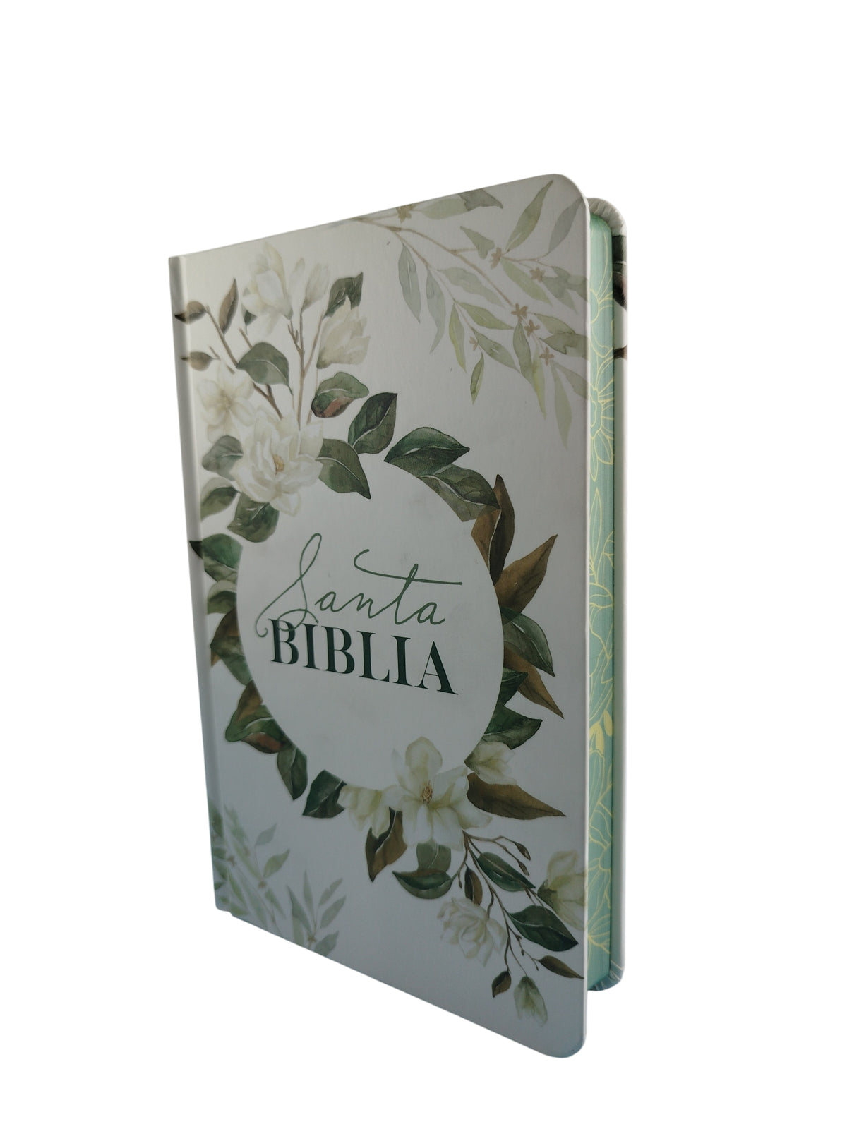 Biblia RVR 1960 letra grande tamano manual by reina valera 1960