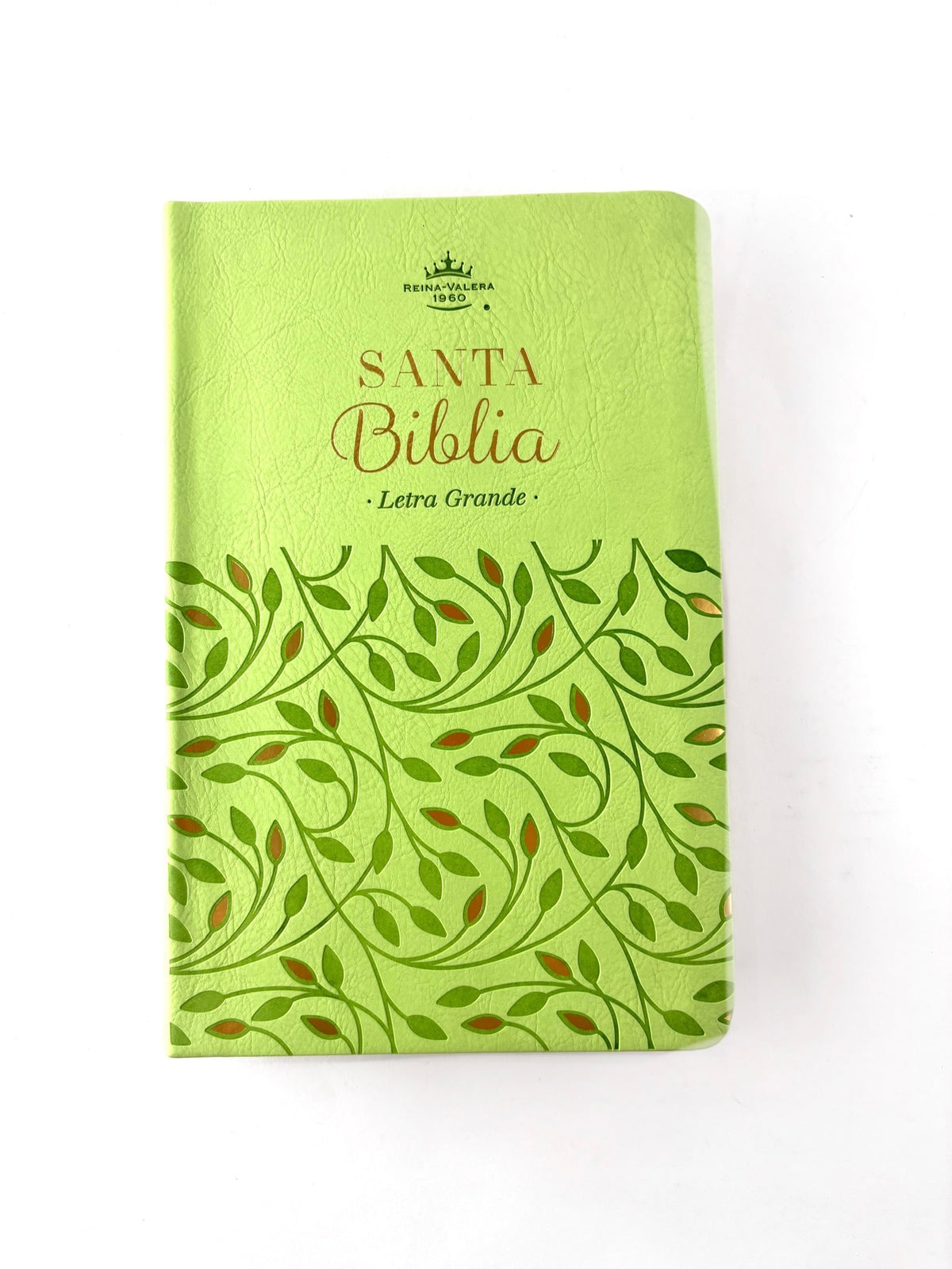 Biblia rvr 1960 verde olivo sin cierre by Reina Valera 1960
