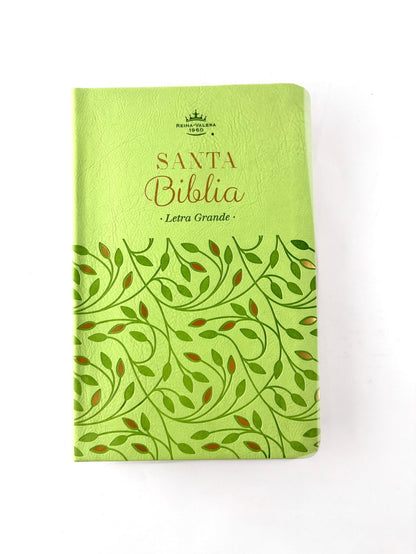 Biblia rvr 1960 verde olivo sin cierre by Reina Valera 1960