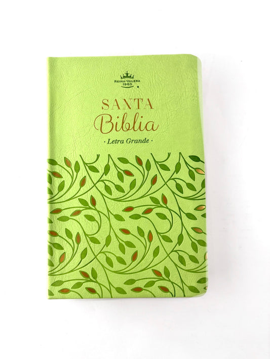 Biblia rvr 1960 verde olivo sin cierre by Reina Valera 1960