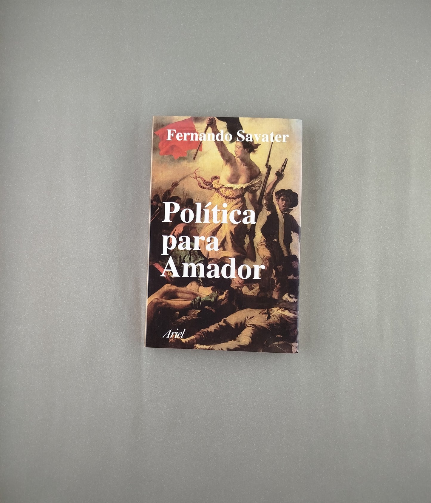 Política para amador