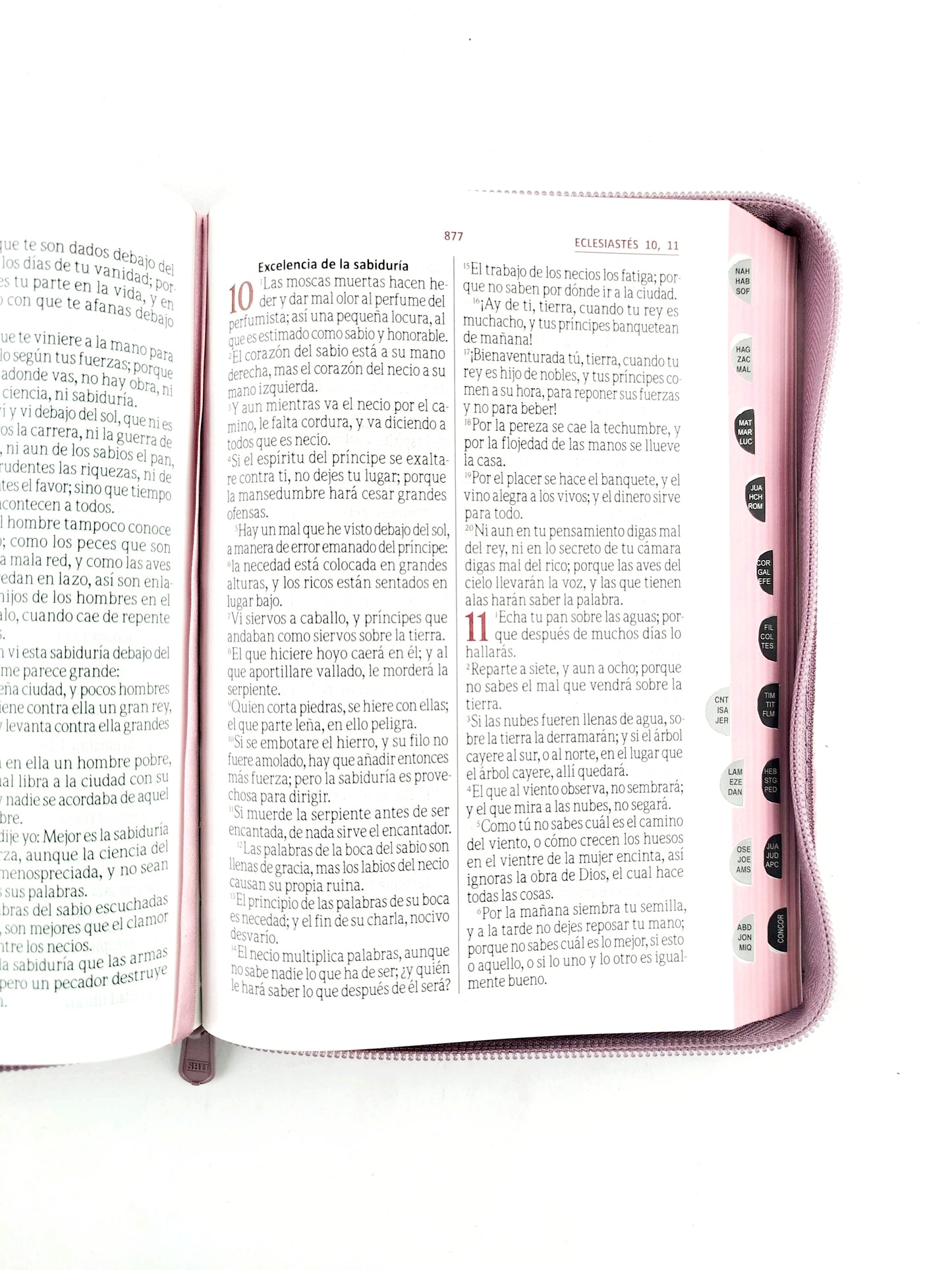 Biblia rvr letra grande promoción rosada flores