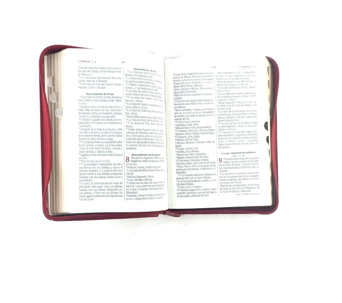 Biblia RVR 045 con Índice percalina rojo canto dorado