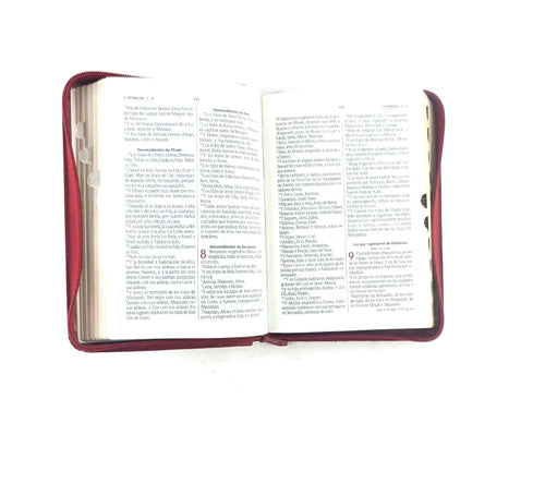 Biblia RVR 045 con Índice percalina rojo canto dorado by Reina Valera 1960