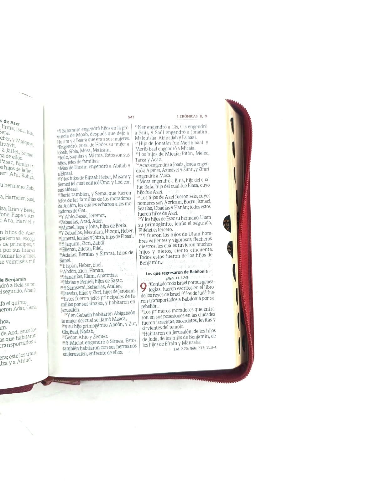 Biblia RVR 045 con Índice percalina rojo canto dorado