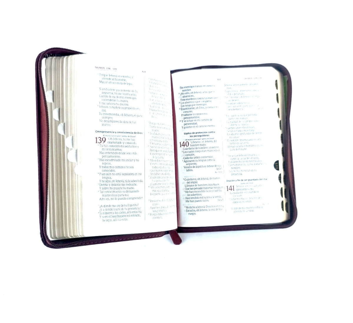 Biblia RVR 045 con Índice vino tinto canto dorado