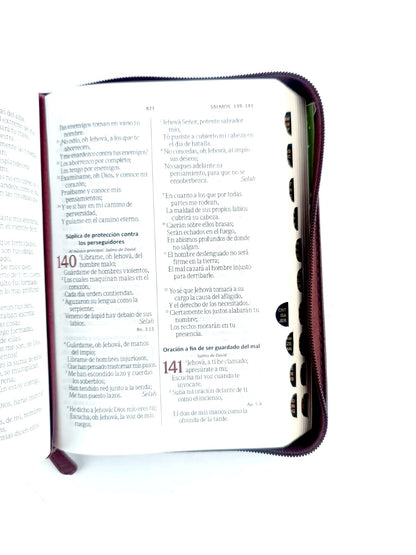 Biblia RVR 045 con Índice vino tinto canto dorado