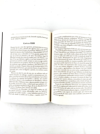 El cuervo/ Las aventuras de Arthur Gordon phym / Cuentos de misterio