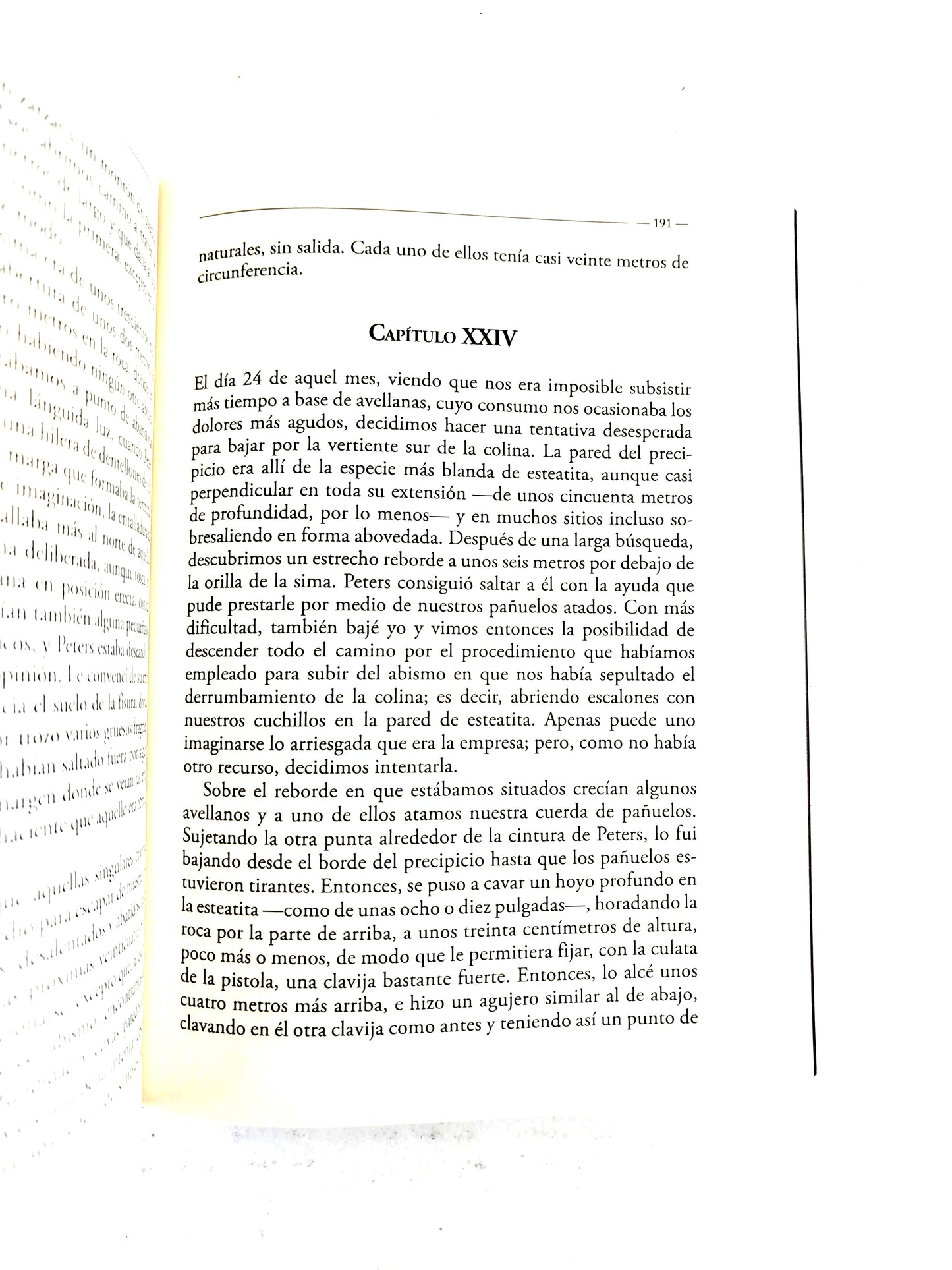 El cuervo/ Las aventuras de Arthur Gordon phym / Cuentos de misterio