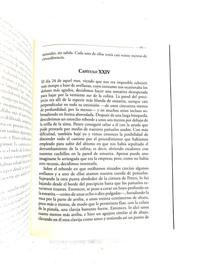 El cuervo/ Las aventuras de Arthur Gordon phym / Cuentos de misterio