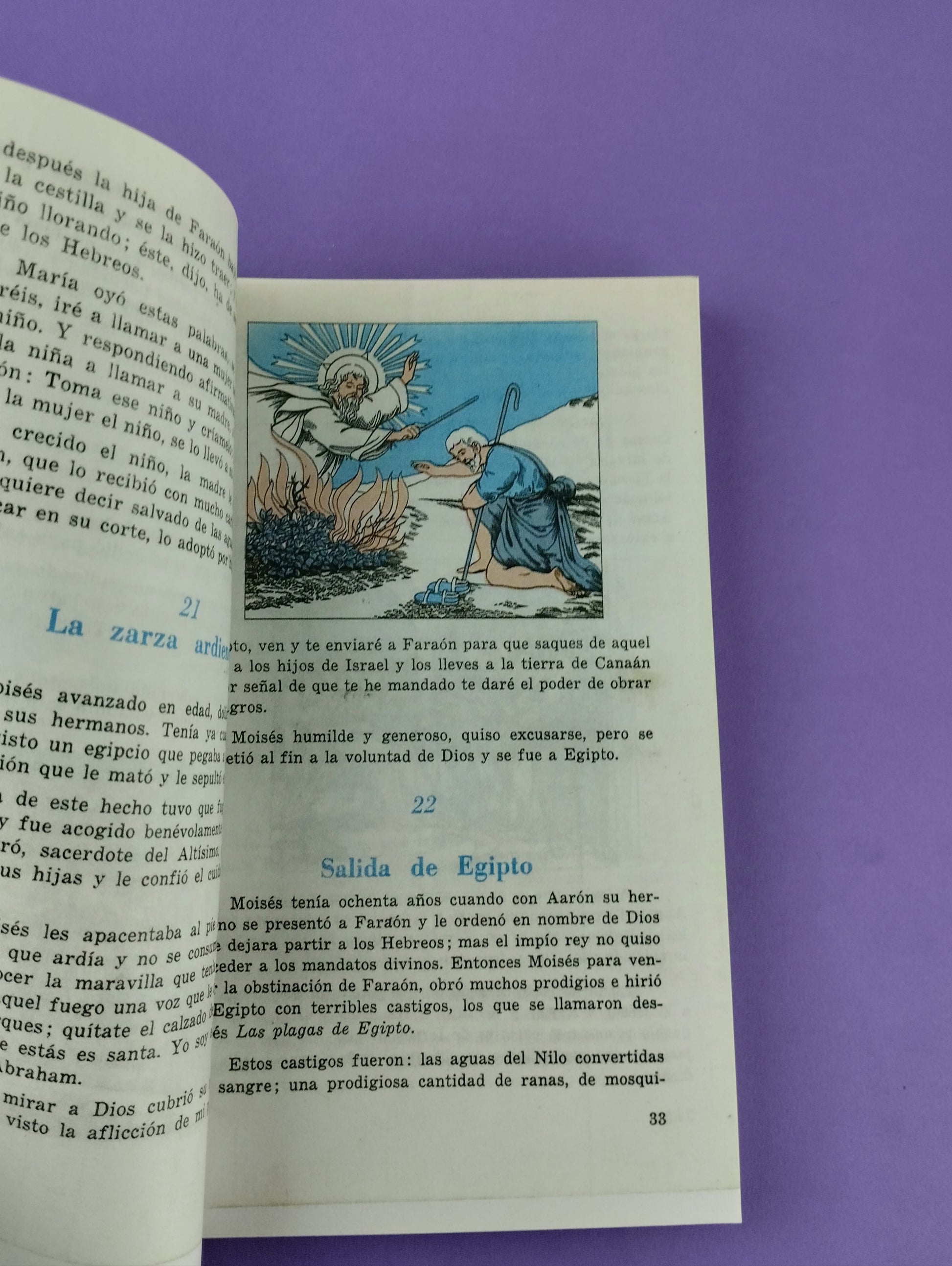 Cien lecciones de historia sagrada by Null
