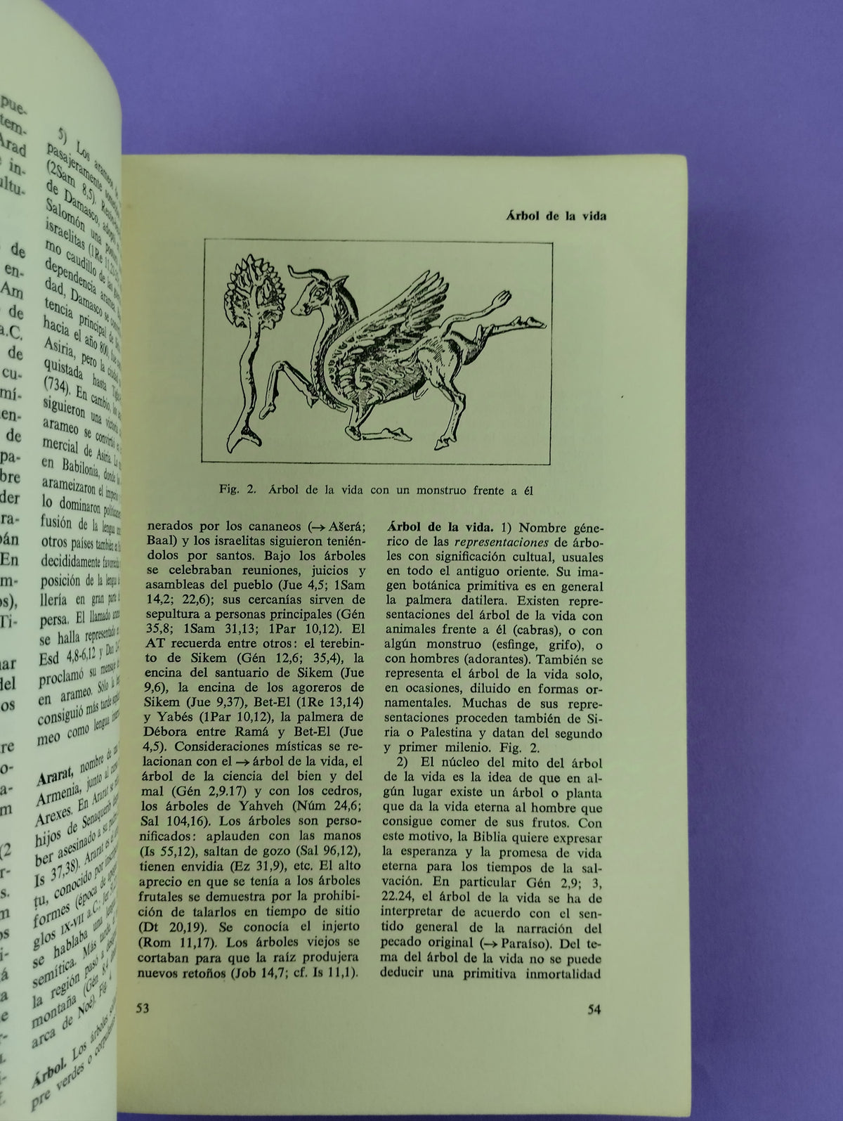 Breve diccionario de la Biblia by Hebert Haag
