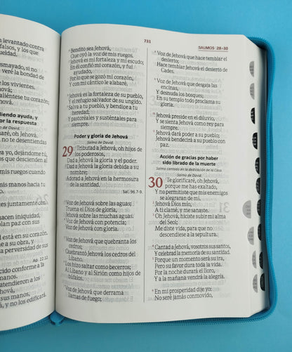 Biblia letra gigante azul aguamarina gris con índice