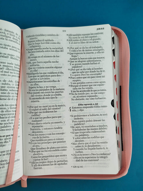 Biblia rvr 1960 duotono rosa-café letra grande con cierre e índice by Reina Valera 1960