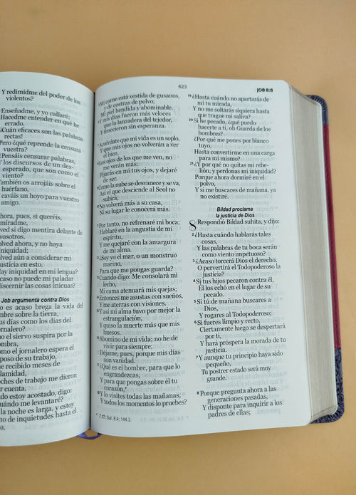 Biblia rvr 1960 clásica bitono lila-fucsia borde dorado sin cierre by Reina Valera 1960