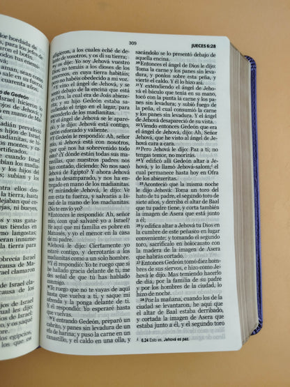 Biblia rvr 1960 clásica morada borde dorado sin cierre