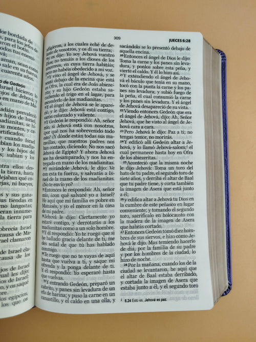 Biblia rvr 1960 clásica morada borde dorado sin cierre by Reina Valera 1960