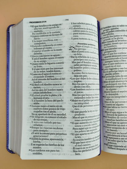Biblia rvr 1960 clásica morada borde dorado sin cierre