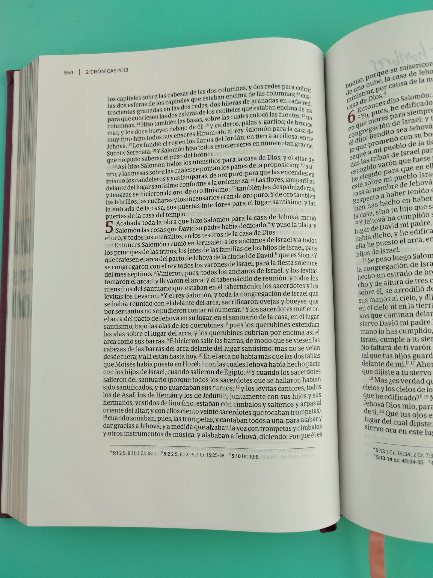 Biblia Rvr 60 -Centrada En Cristo