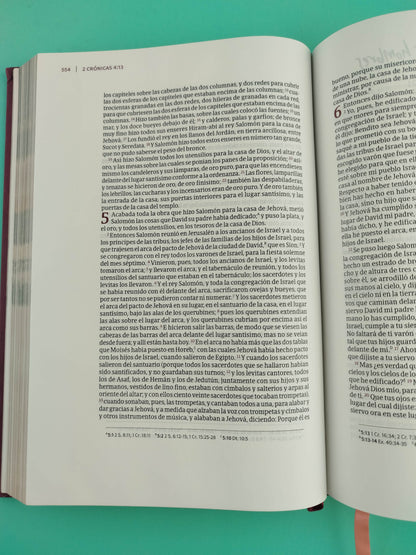 Biblia Rvr 60 -Centrada En Cristo
