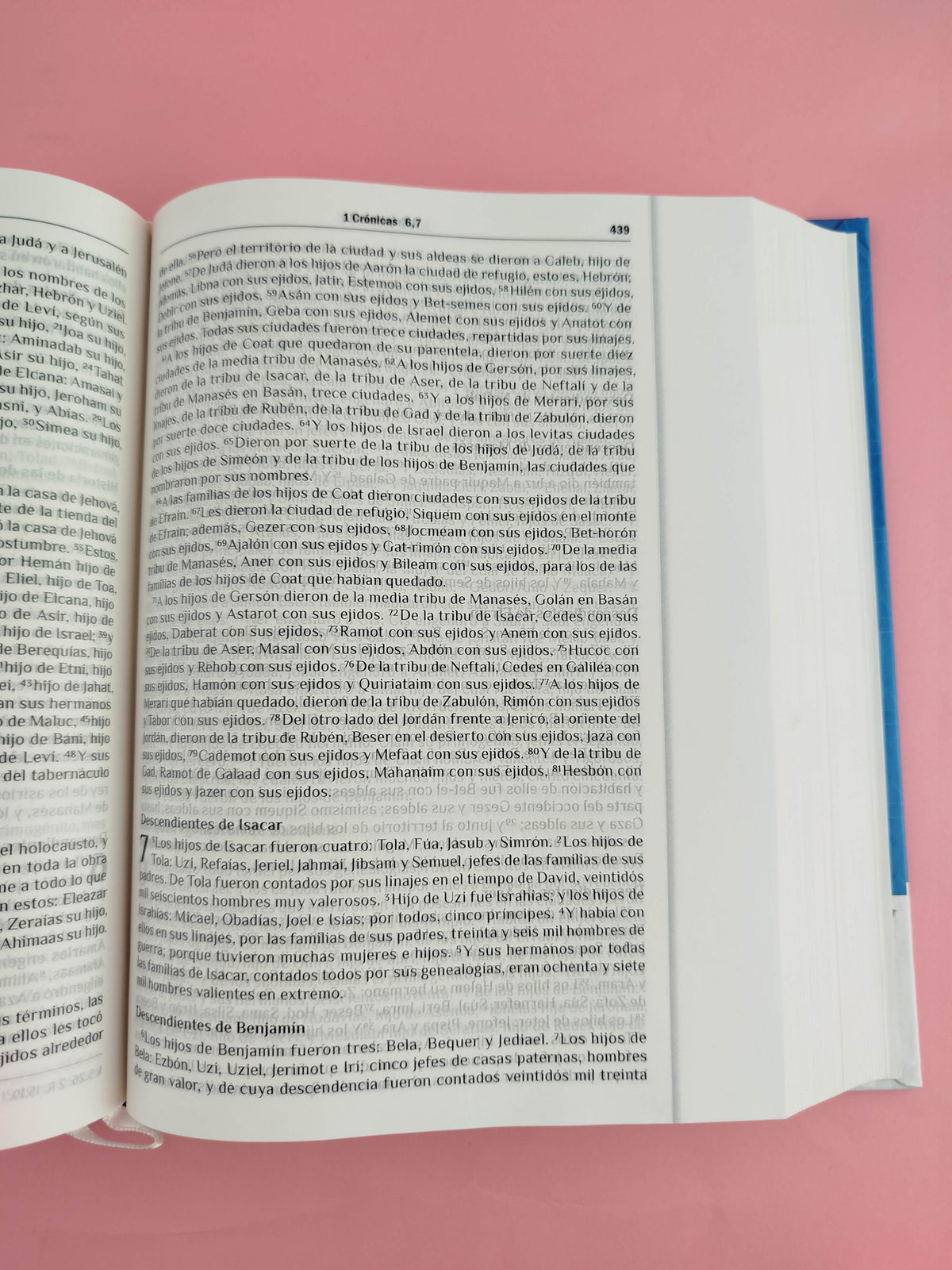 Biblia Rvr 60 Devocional 365 Reflexiones Diarias by libreriatroya.com
