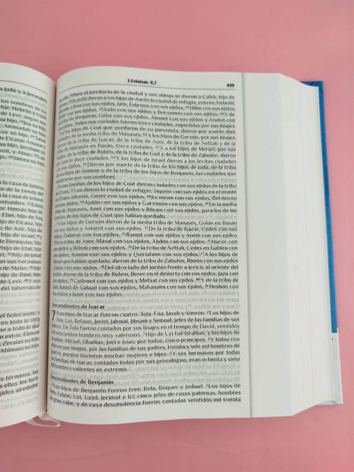 Biblia Rvr 60 Devocional 365 Reflexiones Diarias by libreriatroya.com