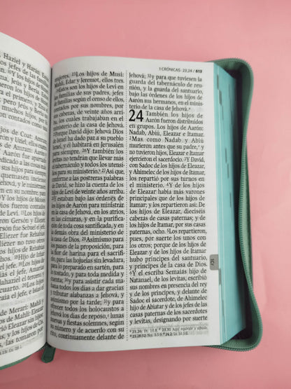 Biblia rvr 1960 letra gigante con forro verde menta - morado