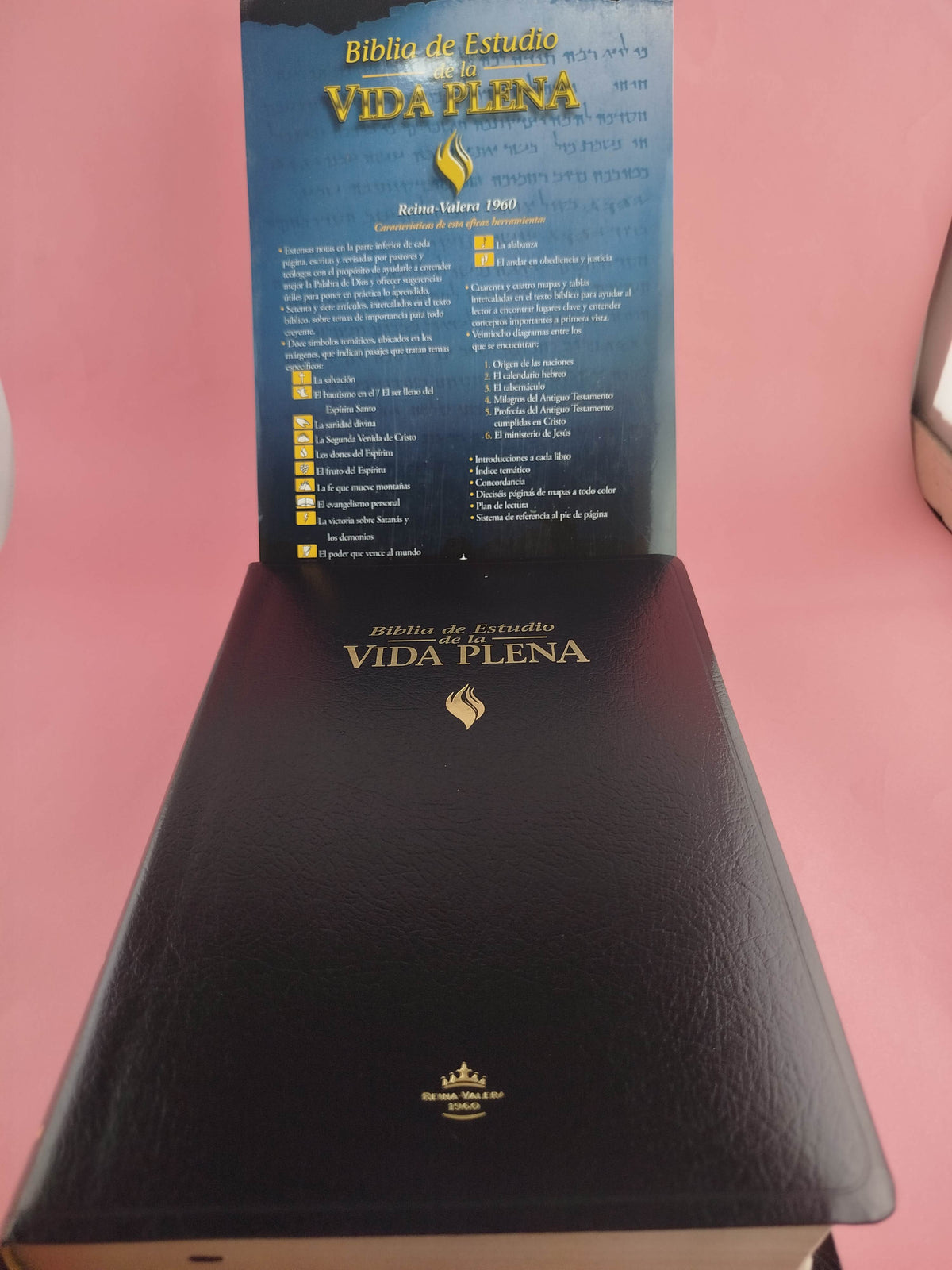 Biblia De Estudio Rvr Vida Plena by libreriatroya.com