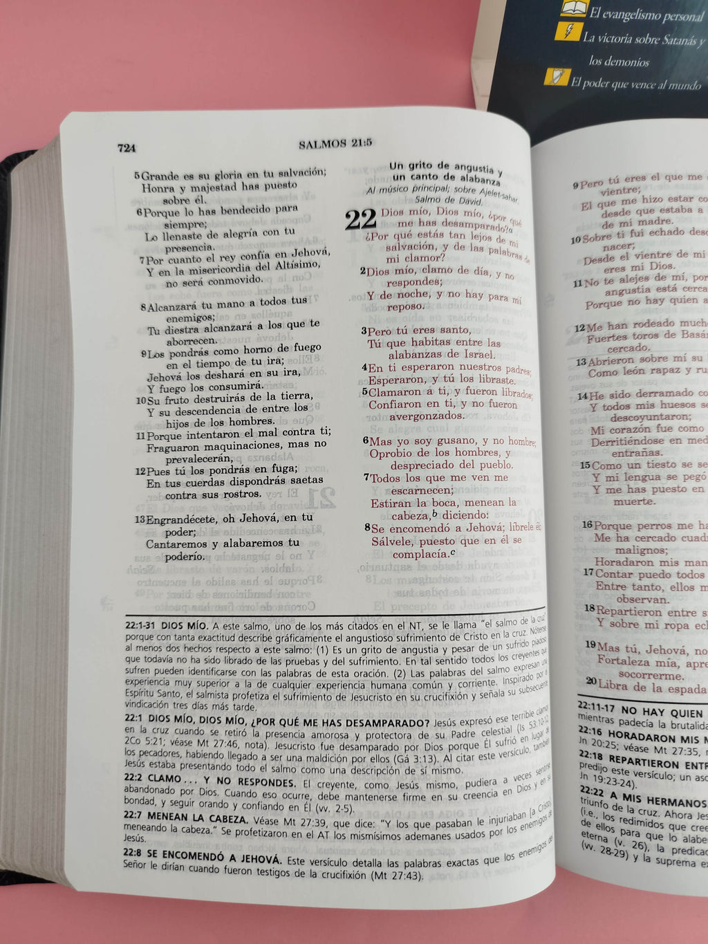 Biblia De Estudio Rvr Vida Plena by libreriatroya.com