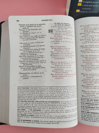 Biblia De Estudio Rvr Vida Plena