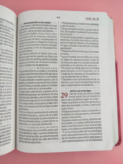 Biblia Letra Gigante Fucsia Rosado Sin Indice Canto Plateado Sin Cierre