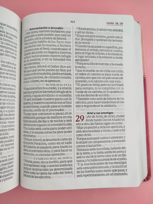 Biblia Letra Gigante Fucsia Rosado Sin Indice Canto Plateado Sin Cierre by libreriatroya.com