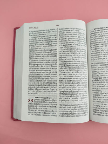 Biblia Letra Gigante Fucsia Rosado Sin Indice Canto Plateado Sin Cierre