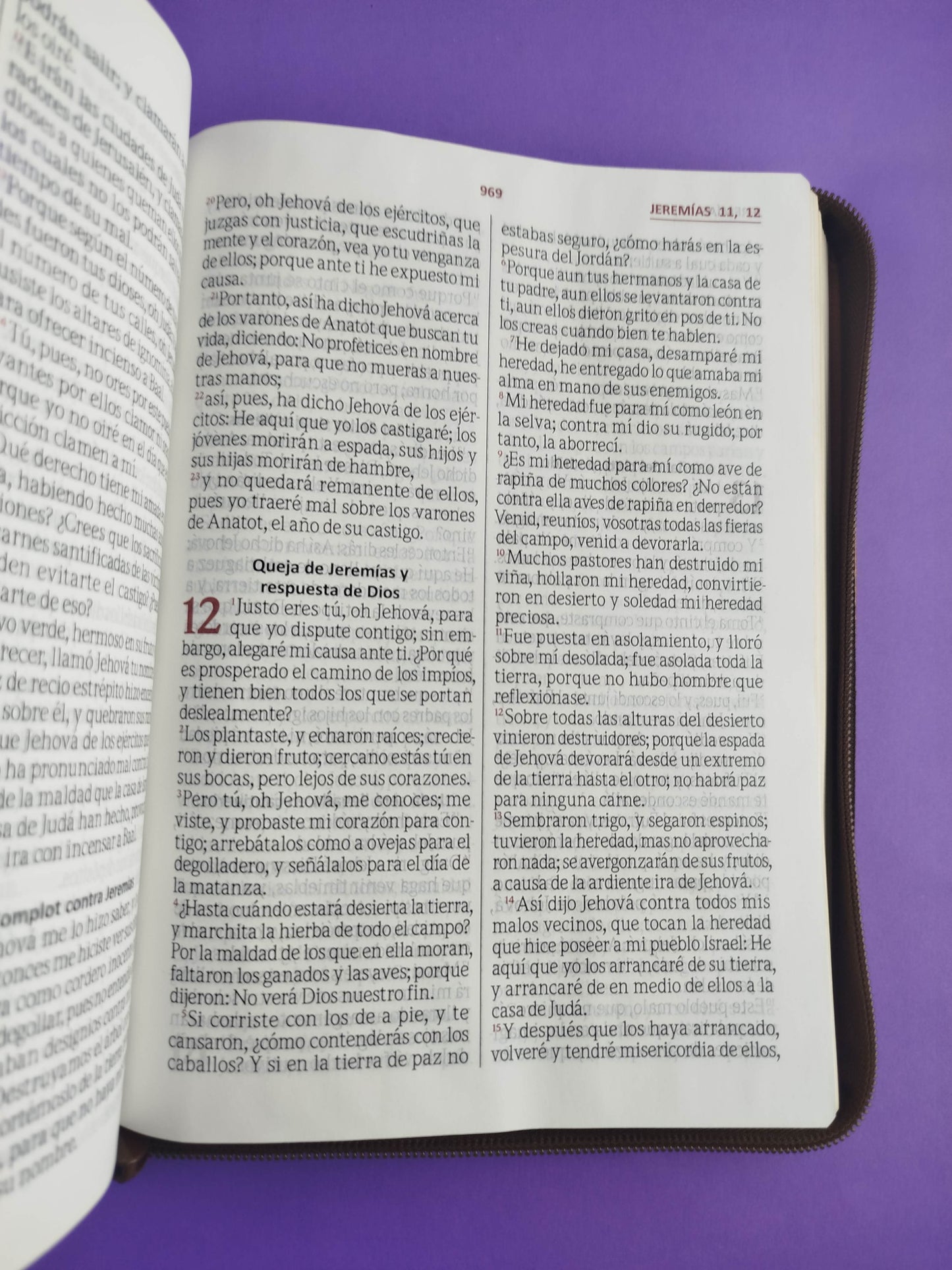 Biblia Letra Gigante Beige Café Sin Índice