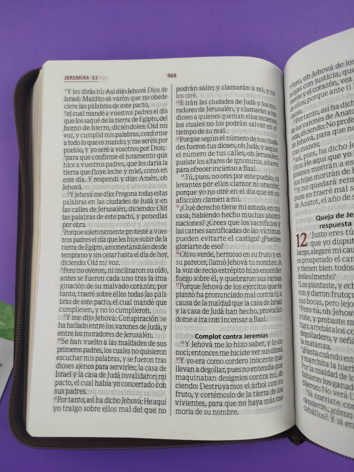 Biblia Letra Gigante Beige Café Sin Índice by Religioso
