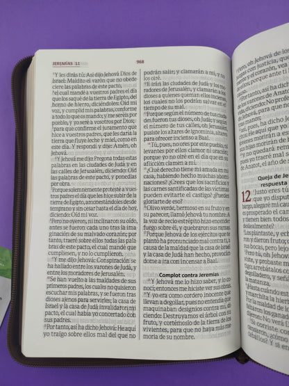 Biblia Letra Gigante Beige Café Sin Índice