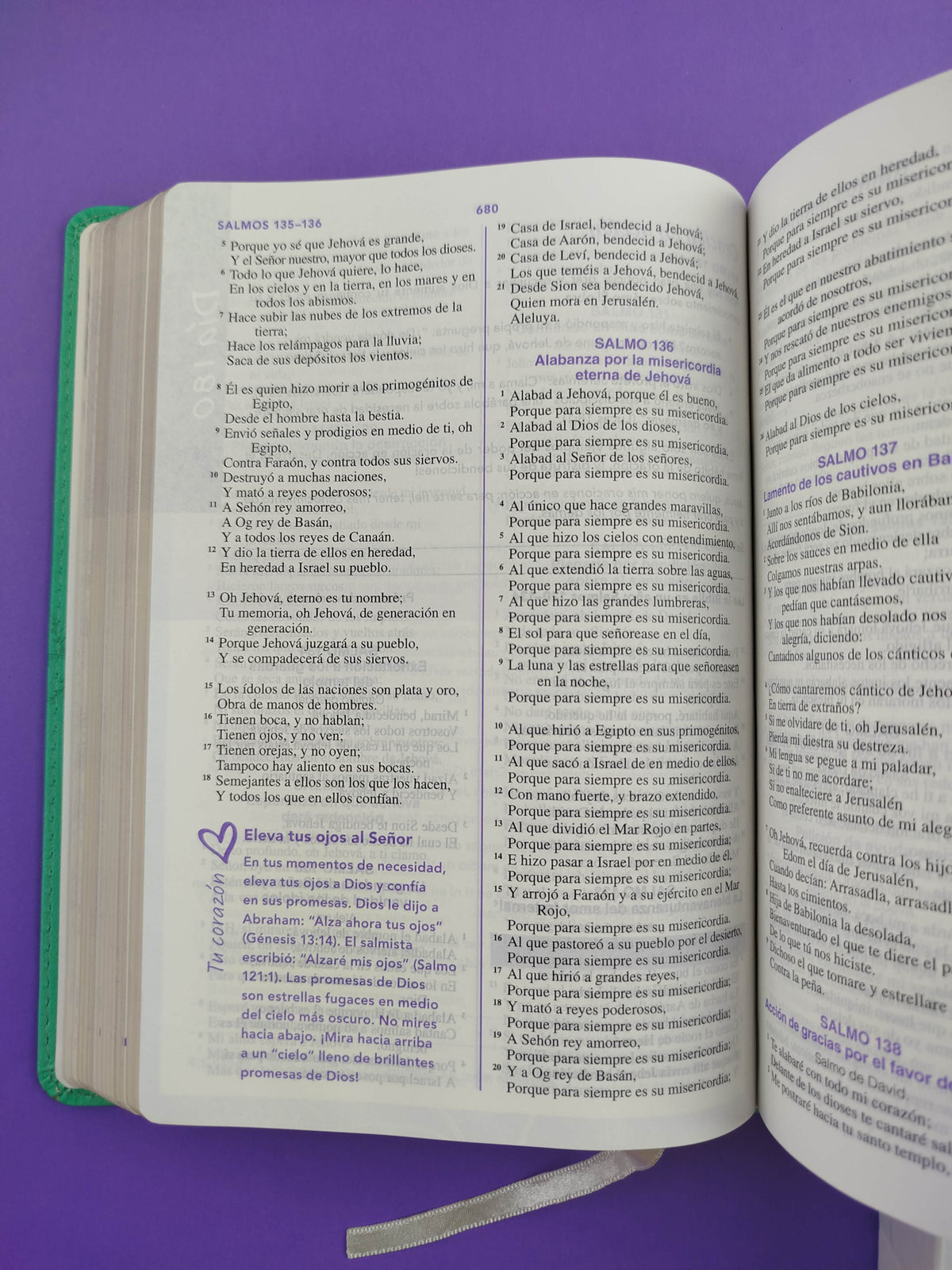 Biblia De Una Joven Conforme Al Corazon De Dios Rvr 1960 Verde by libreriatroya.com