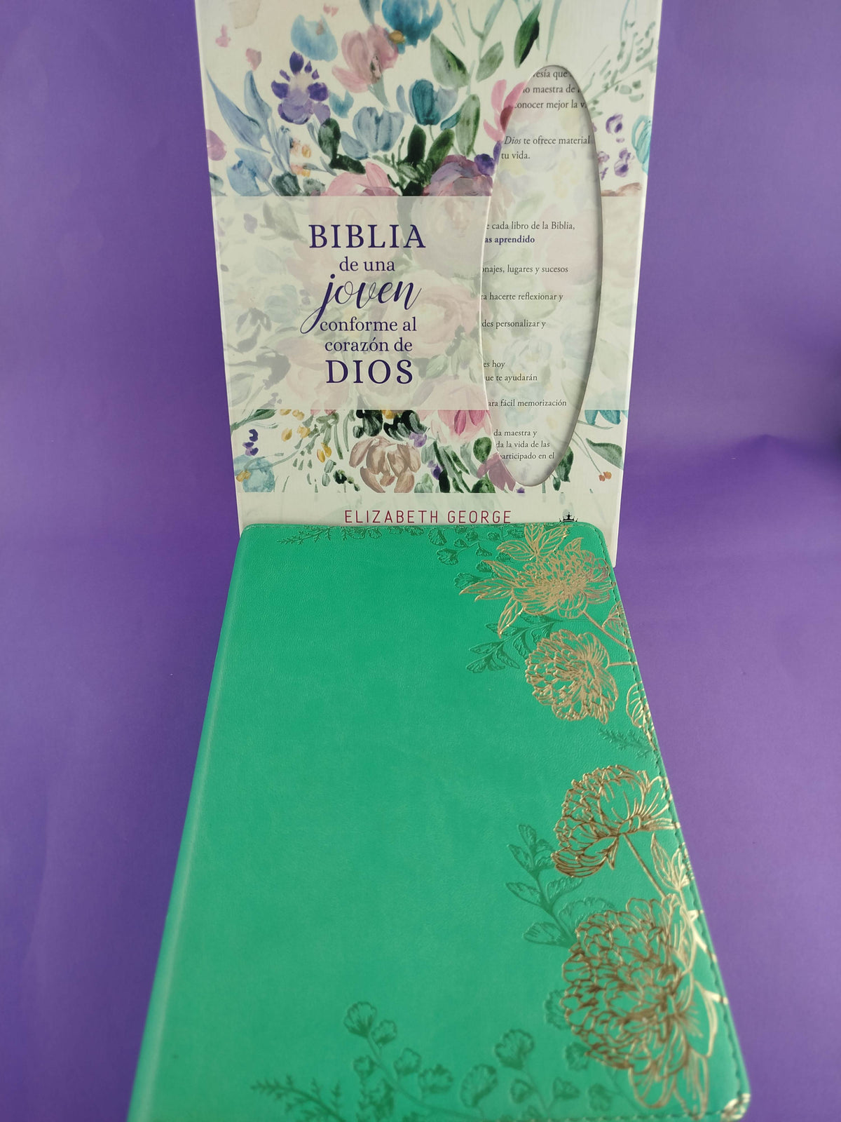 Biblia De Una Joven Conforme Al Corazon De Dios Rvr 1960 Verde by libreriatroya.com