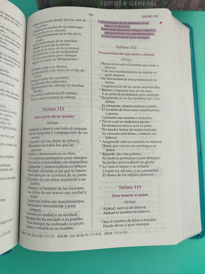 Biblia De La Mujer Conforme Al Corazon Aguamarina