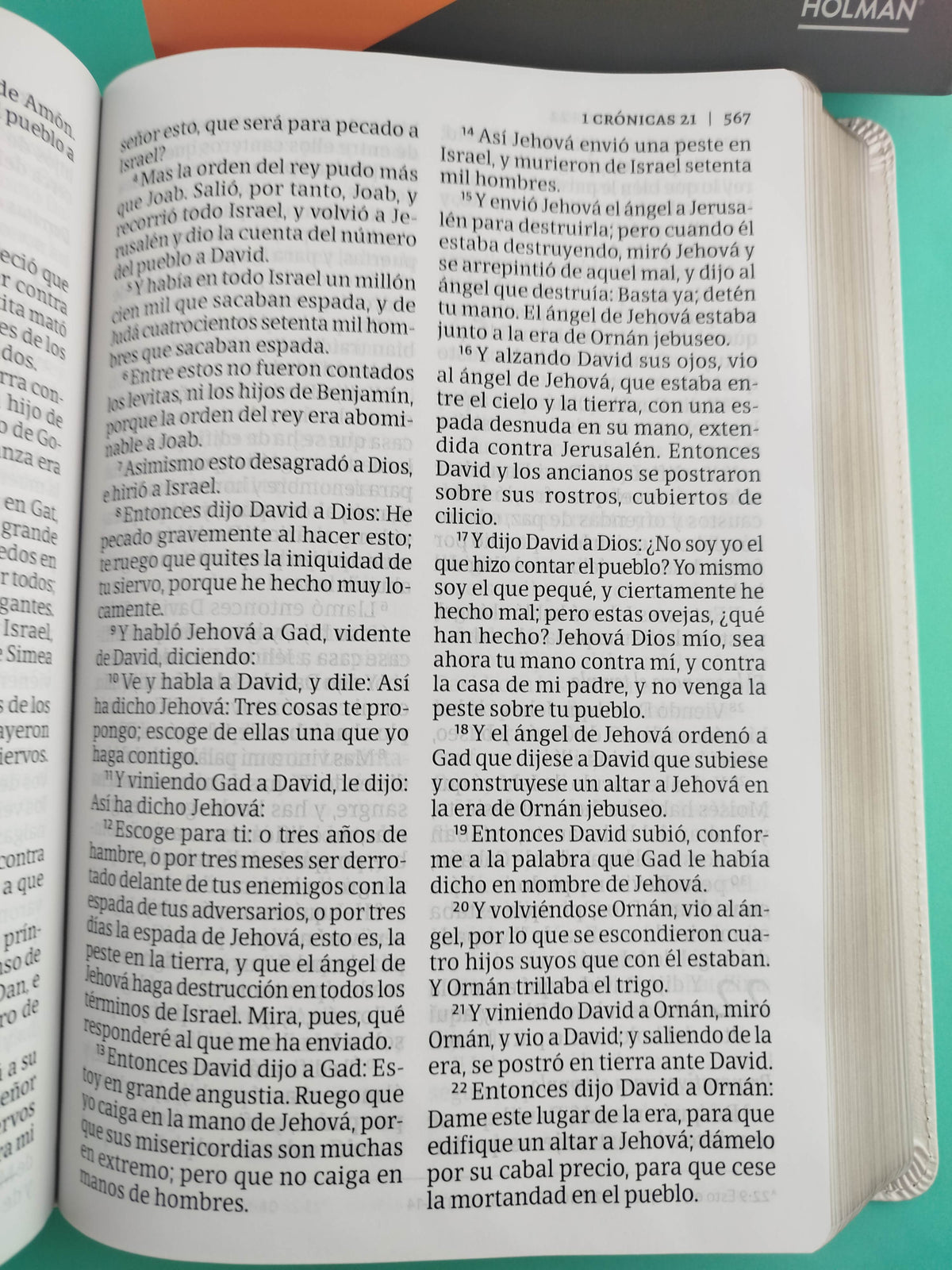 Biblia letra supergigante con referencias blanca con flores by Reina Valera 1960