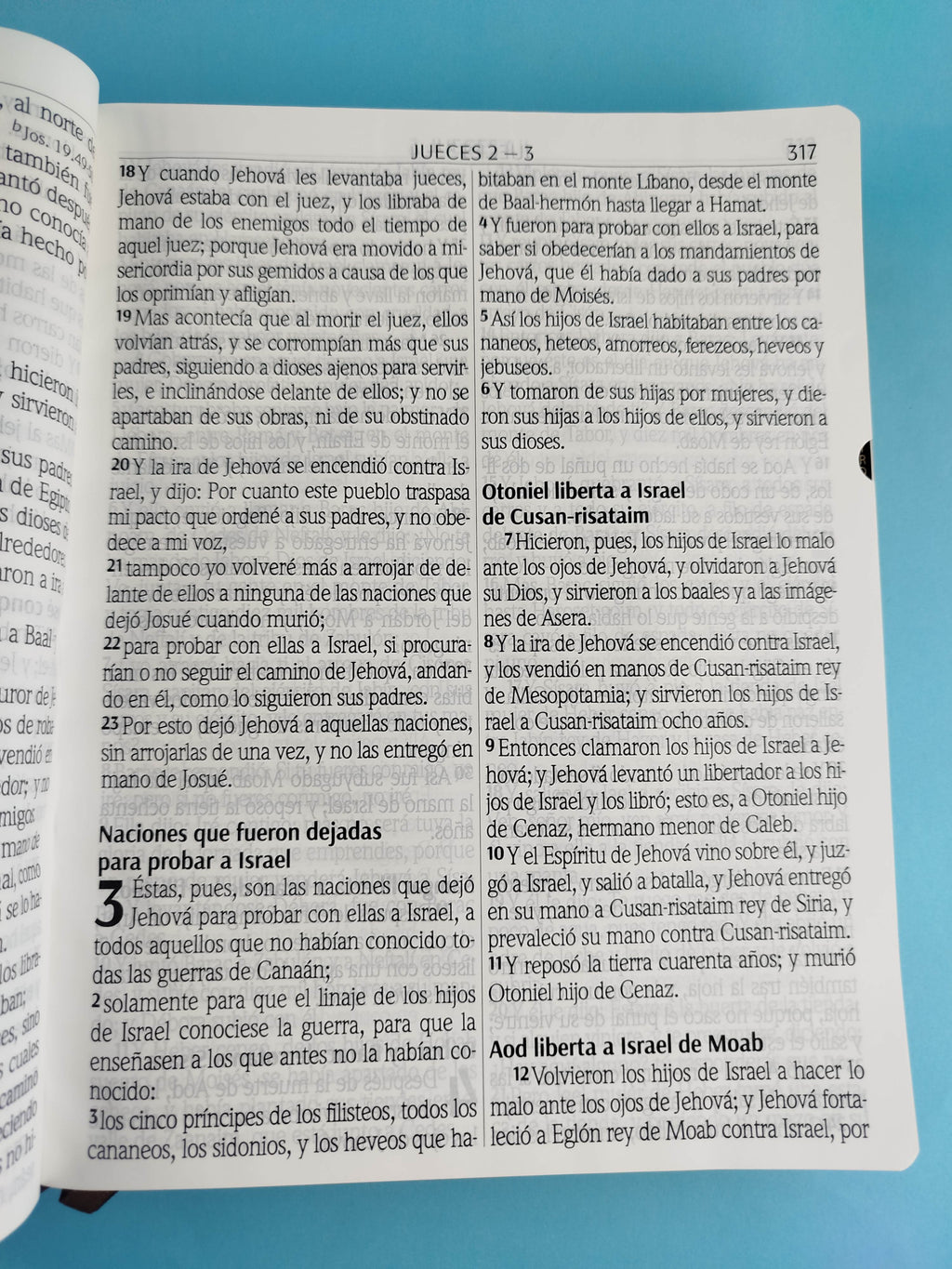Biblia letra súper gigante RVR 1960 índice / marrón by Reina Valera 1960
