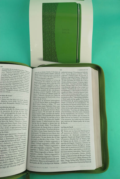 Biblia rvr 1960 letra grande tipo agenda verde con cierre e imágenes de la tierra santa