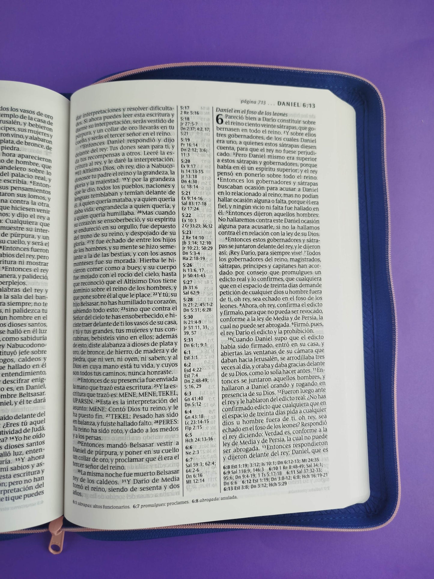 Biblia RVR letra grande sentipiel coral - azul edición zíper con referencia