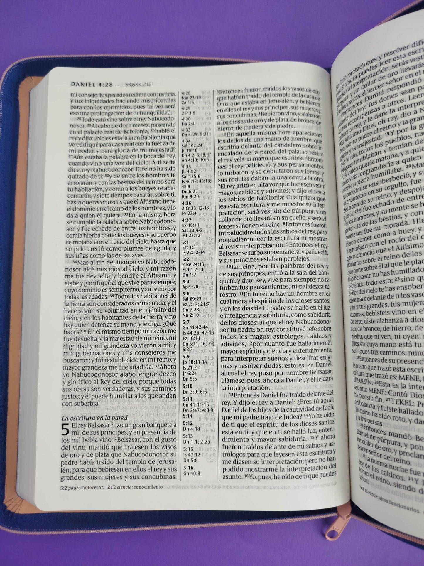 Biblia RVR letra grande sentipiel coral - azul edición zíper con referencia
