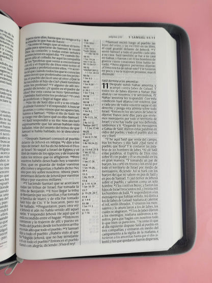 Biblia RVR letra grande sentipiel gris edición zíper con referencia