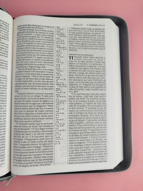 Biblia RVR letra grande sentipiel gris edición zíper con referencia by Reina Valera 1960