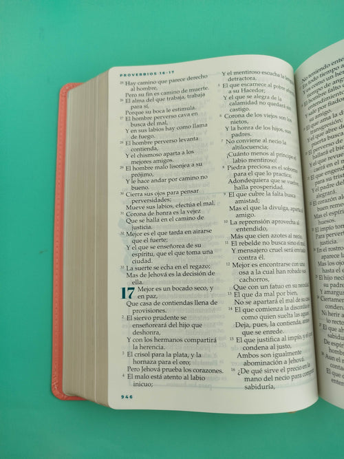 Biblia devocional mujer verdadera rvr 1960 letra grande duotono coral edición de lujo by Reina Valera 1960